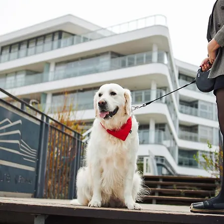 B225 - Dune ミエルノ