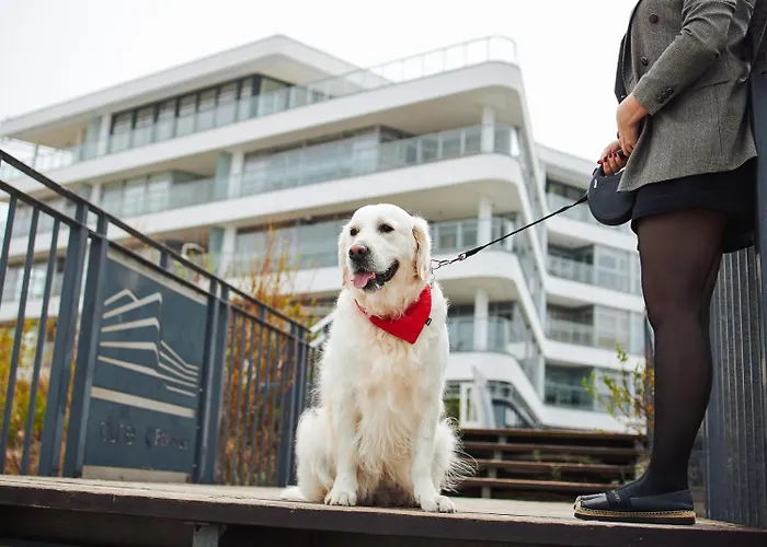 B225 - Dune Mielno (Koszalin)